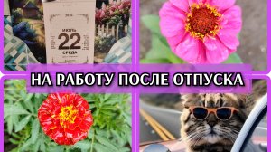 22-07-2026 Первый рабочий день. Обзор цветов на работе. Немного грустно...