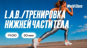 ТРЕНИРОВКА НИЖНЕЙ ЧАСТИ ТЕЛА с Сергеем Каревым | 22 июля 2026 | Онлайн-тренировки World Class