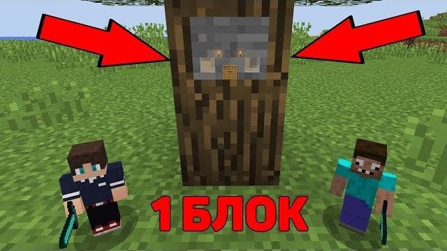 2 ПРО УМЕНЬШИЛИСЬ В 1 БЛОК В МАЙНКРАФТ ТРОЛЛИНГ ! ДОМ НА ДЕРЕВЕ В 1 ПИКСЕЛЬ В MINECRAFT МУЛЬТИК ! смотреть онлайн