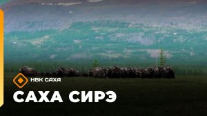 «Саха сирэ» информационнай биэрии. От ыйа 22 күнэ 13.30