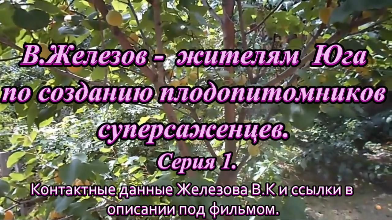 Разное