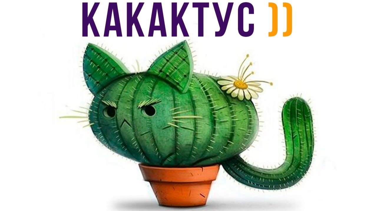 КАКАКТУС))) Приколы с котами смотреть онлайн