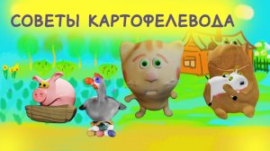 Мармелад о картошке
