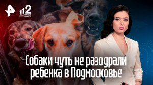 «Несанкционированно убежали»: хозяин покусавших ребенка собак – ветеринар