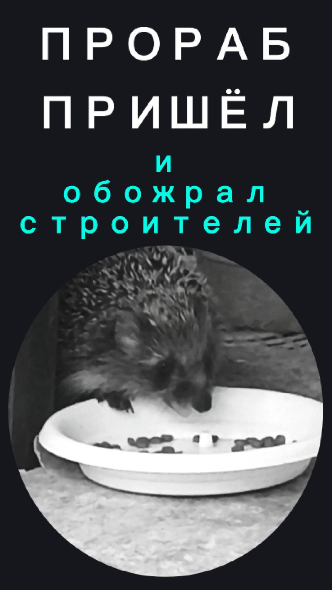 Прораб пришёл и обожрал строителей!