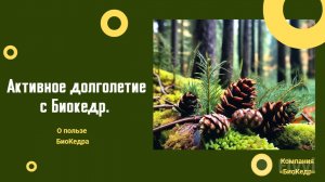 Активное долголетие с Биокедр. Встреча доктора Ольги Лисенковой и А.А. Шишленина