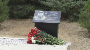 Память без срока давности