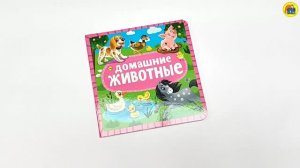 Домашние животные