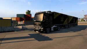 Pickup. Trakers MP. ETS2.
