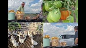 Наш день в деревне .ТОРГОВЛЯ.ПОКУПАТЕЛИ.ХОРОШИЕ НОВОСТИ