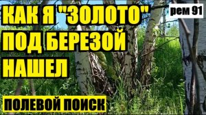 ТАЙНА СТАРОЙ ЛЕСНОЙ ОПУШКИ! ЧТО  СКРЫВАЛИ КОРНИ ДЕРЕВЬЕВ? рем 91