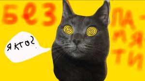 Я потеряла память! Кошка Мила говорящая кошка