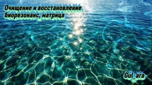 Очищение и восстановление. Биорезонансная музыка. БРТ терапия, матрица