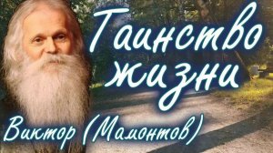 Увидишь чудо Божьего водительства по жизни. Арх. Виктор Мамонтов.