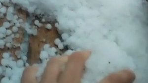 Непогода превратила привычный летний пейзаж в зимнюю картину в Нижегородской области.