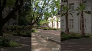Дорога на работу 🌴