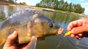 Крутяк рыбалка! Ловля карпа на поплавок Chpok Fish
