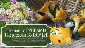 🌸Летние дневники: Пошли в лес за ГРИБАМИ - ПОТЕРЯЛИ КЛЮЧИ! - Летняя зарисовка