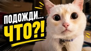 Смех до слёз: лучшие приколы №301