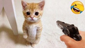 Самые смешные собаки и кошки 2026 года😼🐶Постарайся не засмеяться😜