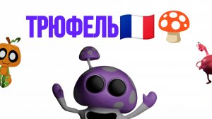 что любит трюфель