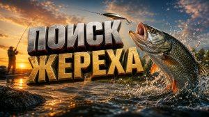 💥Fisher Online💥Поиск жереха
