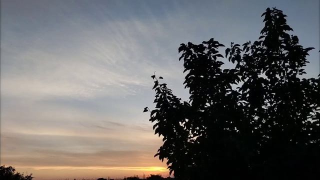 Звуки природы на закате солнца для отдыха, сна и релаксации. Пение птиц.