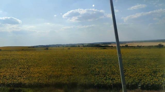 Дорога в Крым 21.07.26. смотреть онлайн
