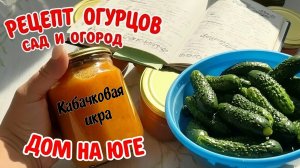 Дом на Юге.  Сад и огород. Рецепт вкусных  огурцов.