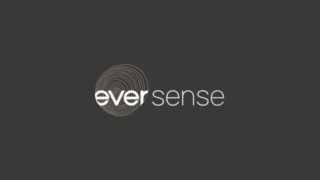 Eversense — О дизайне Стили коллекции Eversense — О дизайне Стили коллекции