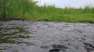 Река Чумайка. Релакс. 5 минут чтобы расслабиться