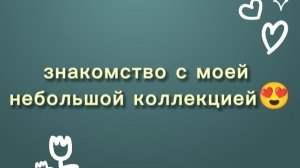 Моя небольшая коллекция. Показываю где живут мои суккуленты💚