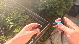 Жизнь вне орхидей. разочаровался в первом таймере ： ДОРАБАТЫВАЮ полив во дворе