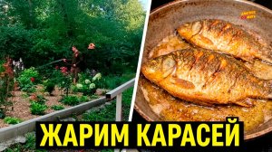 ПОЛИВАЕМ КЛУМБУ / ЖАРИМ КАРАСЕЙ / БАНАНОВЫЙ КЕКС