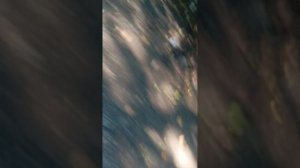 последняя часть третья