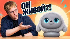 Ropet — он реально как живой? Честный обзор робота-питомца