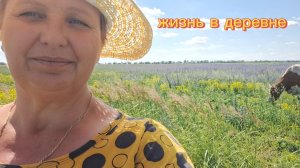 22-07-2026 Ругаю себя за это. Жизнь в Деревне 🏡