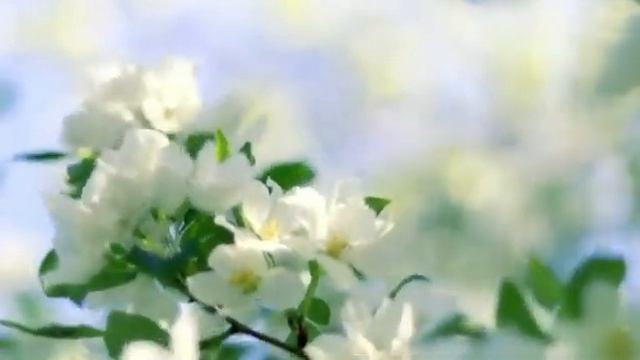 этот хит поют все!!--Каплю лета подарю певица Натали новая песня.. смотреть онлайн