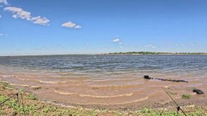 Ловим БЕЛОГО АМУРА И САЗАНА на реке Волга, Астраханская обл. Кайфовый отдых и рыбалка с друзьями!
