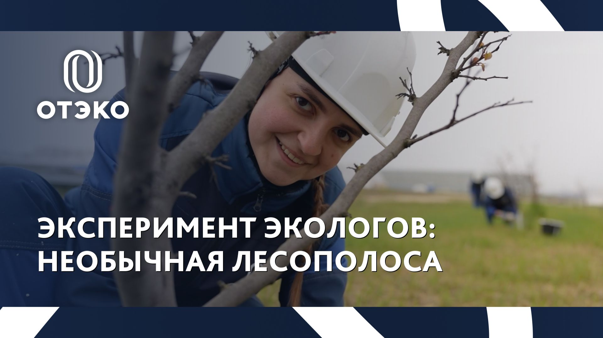 Экспериментальная лесополоса на терминале навалочных грузов ОТЭКО смотреть онлайн