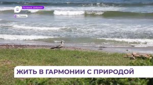 Конкурс «Живая тайга» отобрал лучшие работы на экологическую тематику со всего ДВ