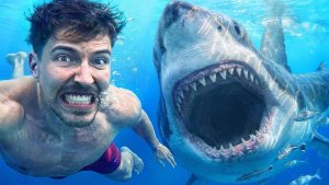 Мистер Бист. Готовы ли вы поплавать с акулами за 100 000 долларов? MrBeast
