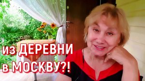 В 50+ жизнь сначала: уехала от боли — оказалось, к счастью. Моя история