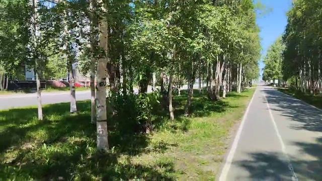 Природные зарисовки. Жизнь вне сети смотреть онлайн