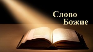Старайтесь иметь святость..