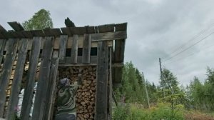 Стирка, обед и конечно же дрова.