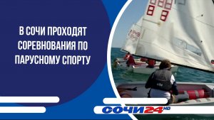 В Сочи проходят соревнования по парусному спорту