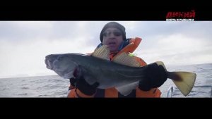 На краю земли. 1 серия. Хоннингсвог.