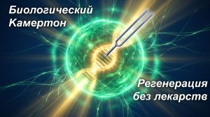 Биологический камертон: Как вернуть здоровье с Живой Зеленой Клеткой