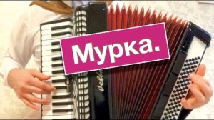 Такой Мурки на Аккордеоне и баяне вы еще не слышали